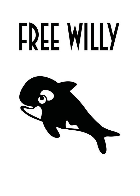 Poster Free Willy