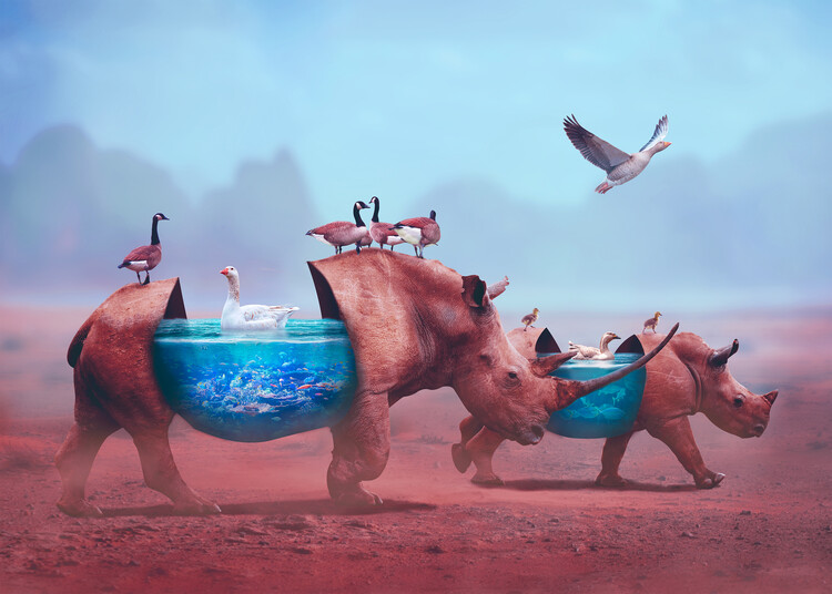 Plakát Magical Animals Adventure