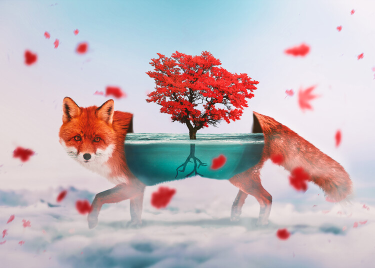 Plakát Magical Foxy