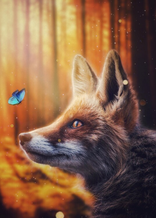 Poster Fox and blue butterfly in autumn forest