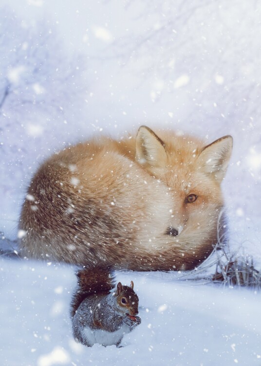 Poster Cute fox and squirell in winter