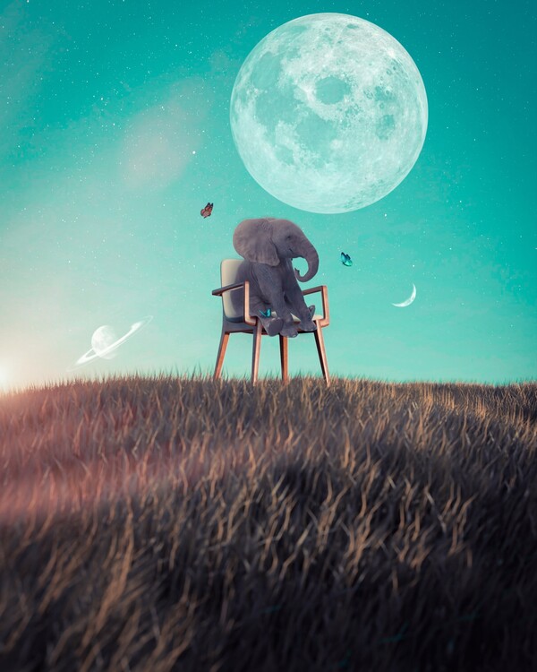 Poster Cute baby elephant and the three moons