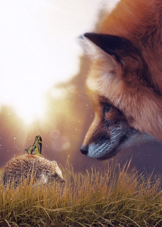 Poster The hedgehog, the fox and the Butterfly