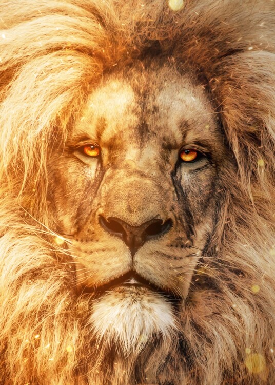 Plakat Portrait of The Spirit of the Lion Fire