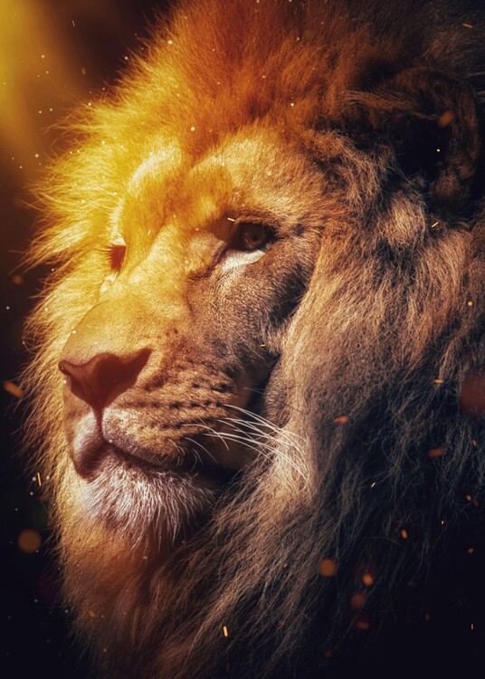 Plakat Lion Animal Totem Spirit of Africa