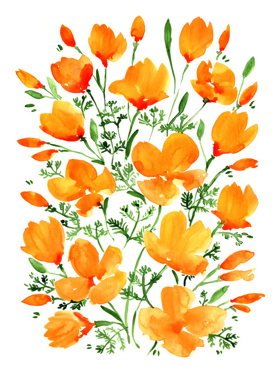 Poster Watercolor California poppies