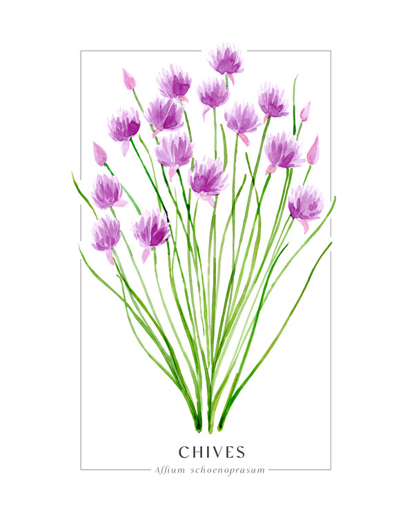 Poster Chives
