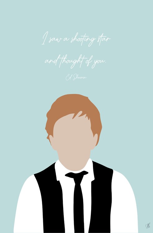 Canvas Print Shooting star