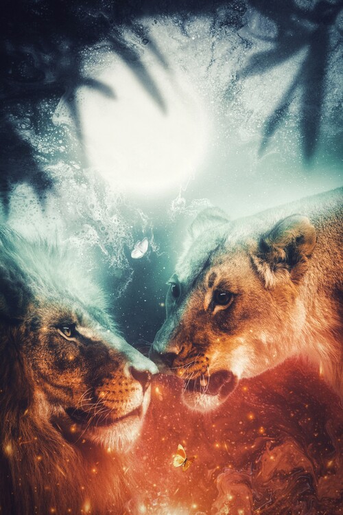 Plakat Couple of lion in the jungle Moonlight