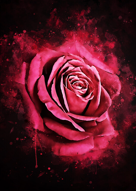Принти на полотні Rose Flower