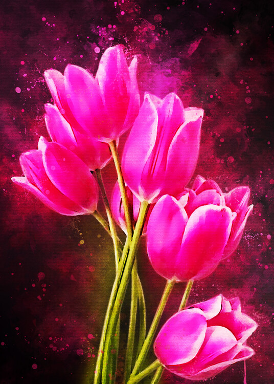 Poster Tulips