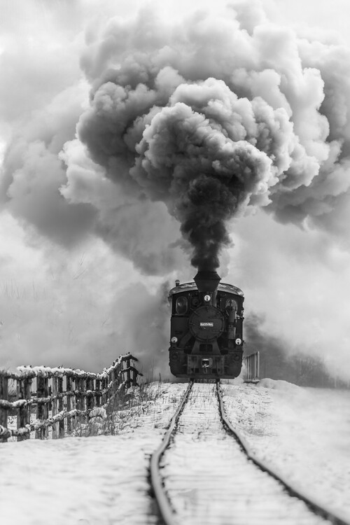 Canvas Print Old train