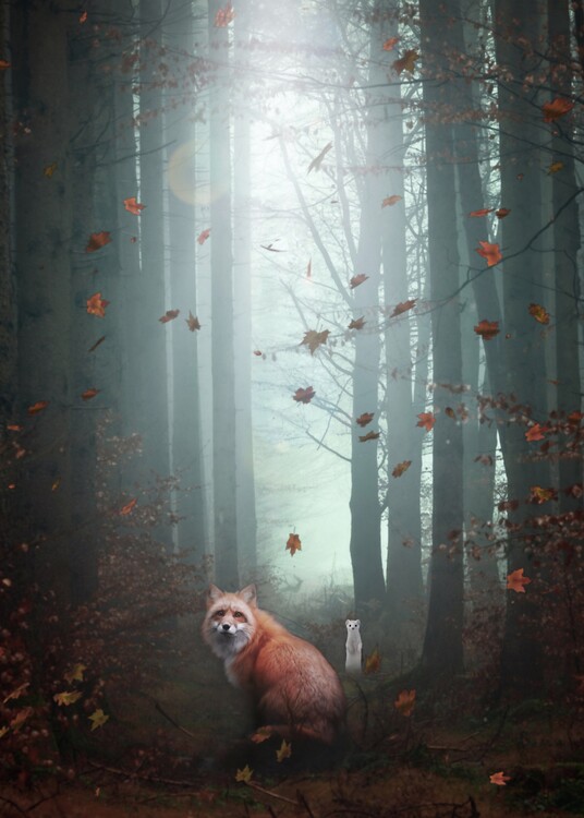 Poster Yvonig the story of a fox and a white ermine