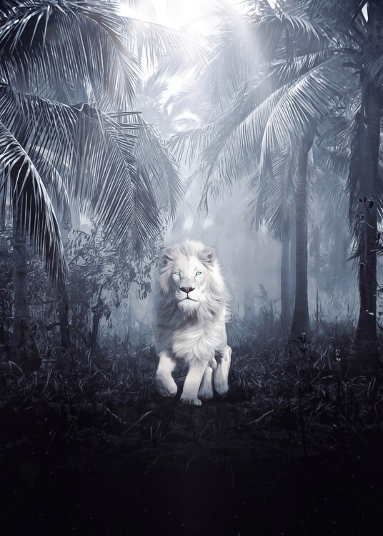 Плакат White Lion Night Safari Jungle