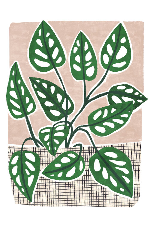 Poster Pati Cascino - Monstera
