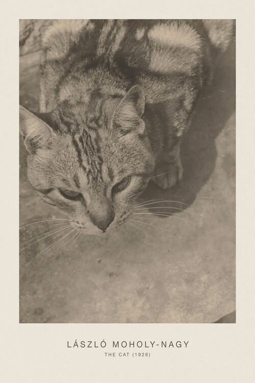 Poster The Cat (1926) - Laszlo / László Maholy-Nagy