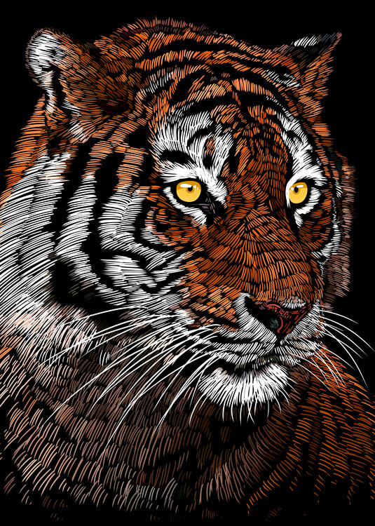 Плакат Realistic Tiger Lines