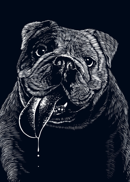 Плакат Bulldog