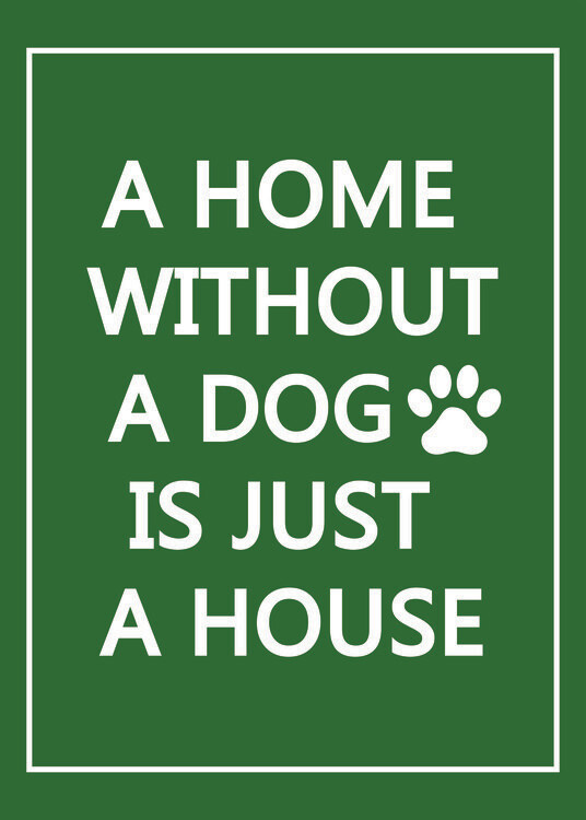 Poster Dog Home