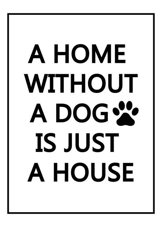 Poster Dog Home
