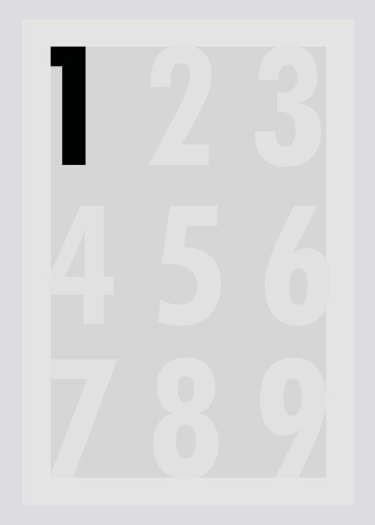 Poster Number 1