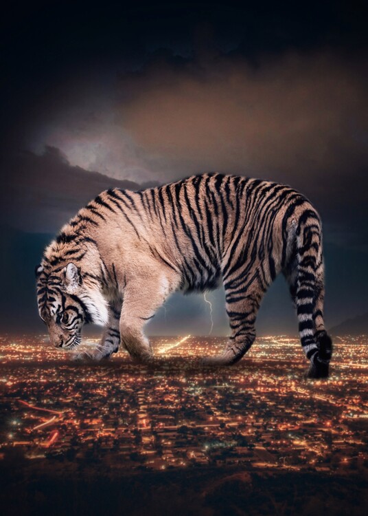 Plakat Tiger City King and lightning thunderstorm