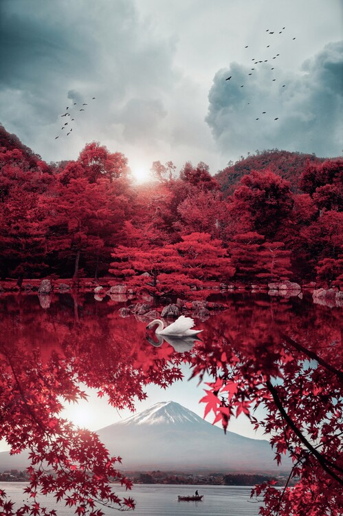 Poster Japan Place Mount Fuji and White Swan