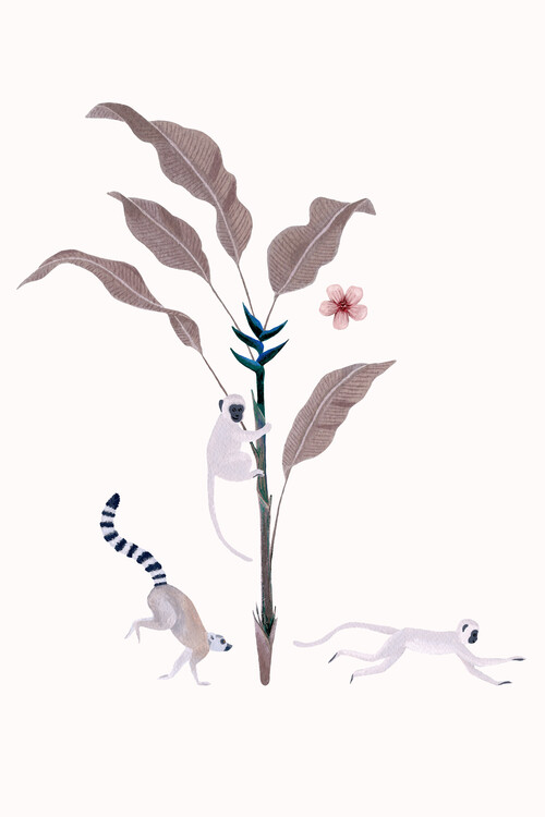Poster Fantom Fifi Art - Botanical Illustration Three Monkeys