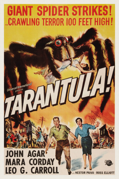 Canvas Print Tarantula