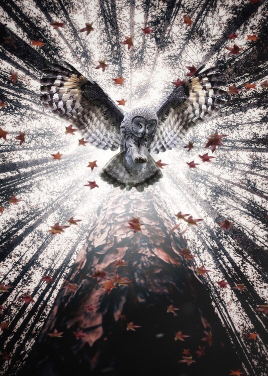 Poster The Majestic Owl in the trees forest