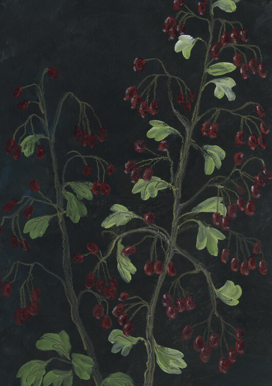 Poster Theiam hawthorn