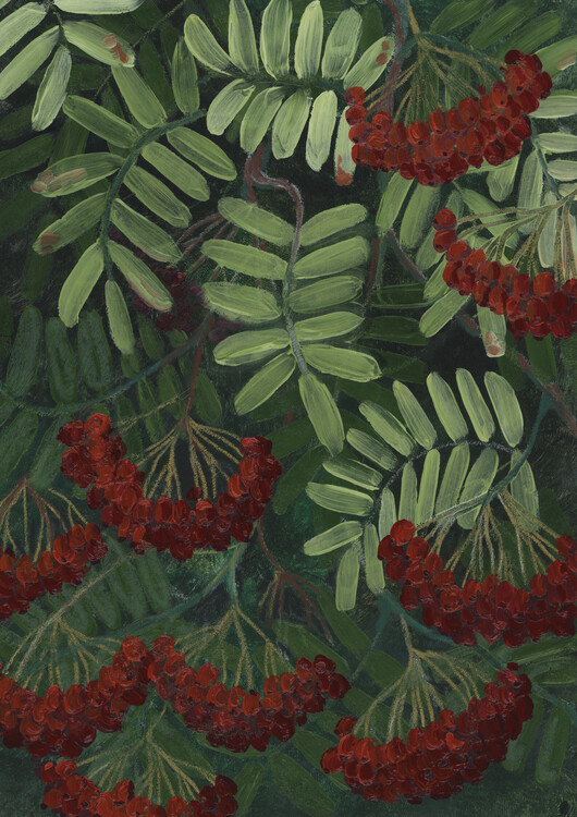 Poster Rowann berries