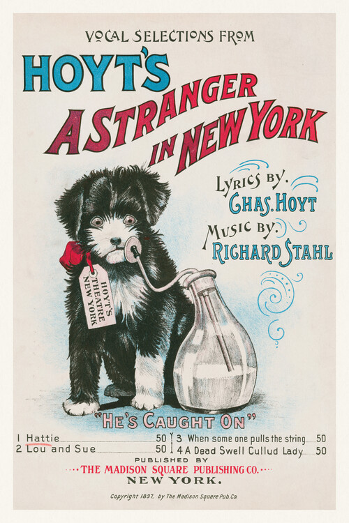 Cuadro en lienzo A Stranger in New York