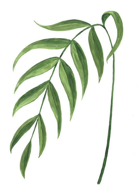 Poster Balam leaf