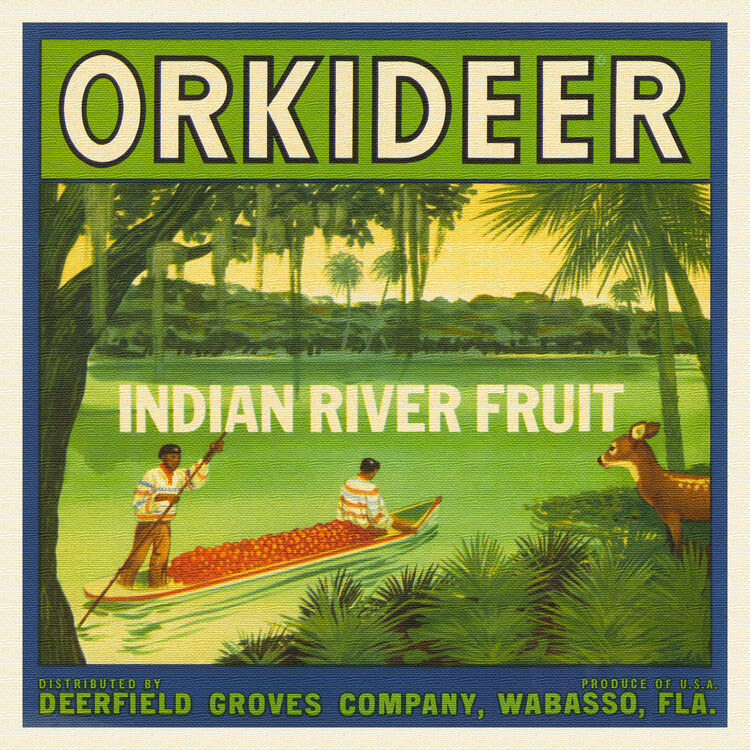 Levně Plakát, Obraz - Orchids River Fruit Brand, Louis Rhead, 40 × 40 cm