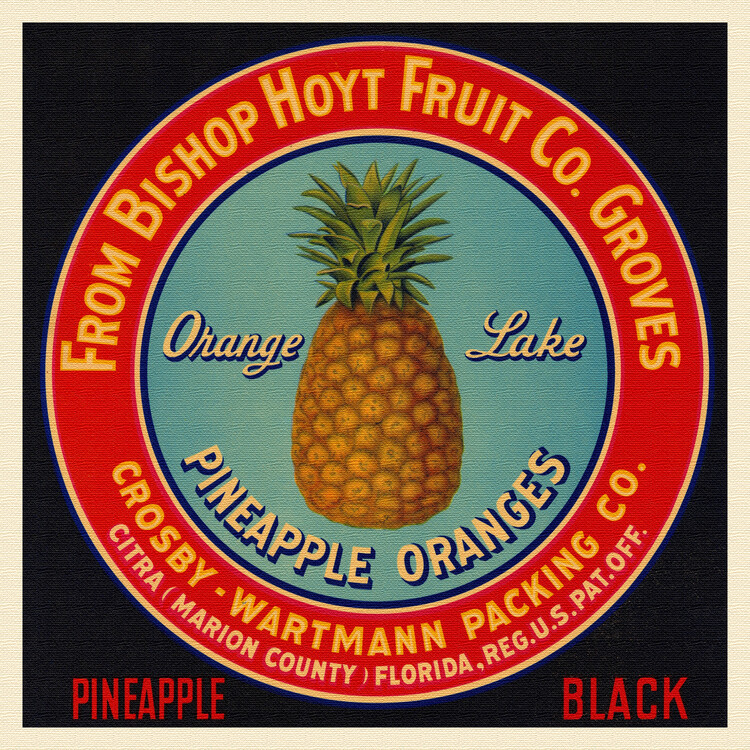 Poster Orange Lake Pineapples & Oranges Brand in Black (Colourful Retro Graphic / Vintage Fruit & Fresh Produce Advertisement) - Florida Crate Labels