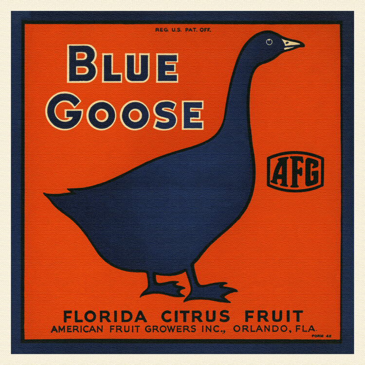 Levně Plakát, Obraz - Blue Goose Brand, Florida Crate Labels, 40 × 40 cm