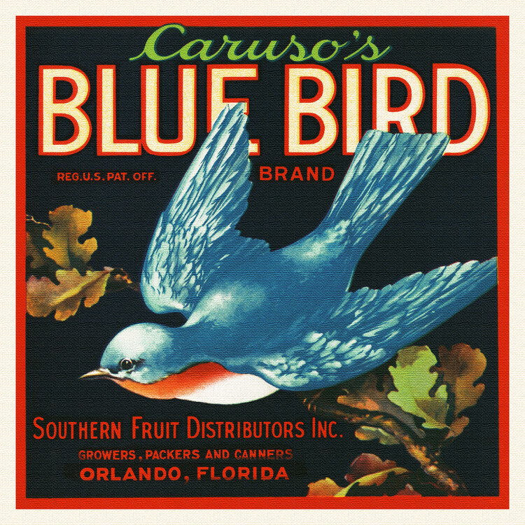 Levně Plakát, Obraz - Caruso's Blue Bird Brand, Florida Crate Labels, 40 × 40 cm