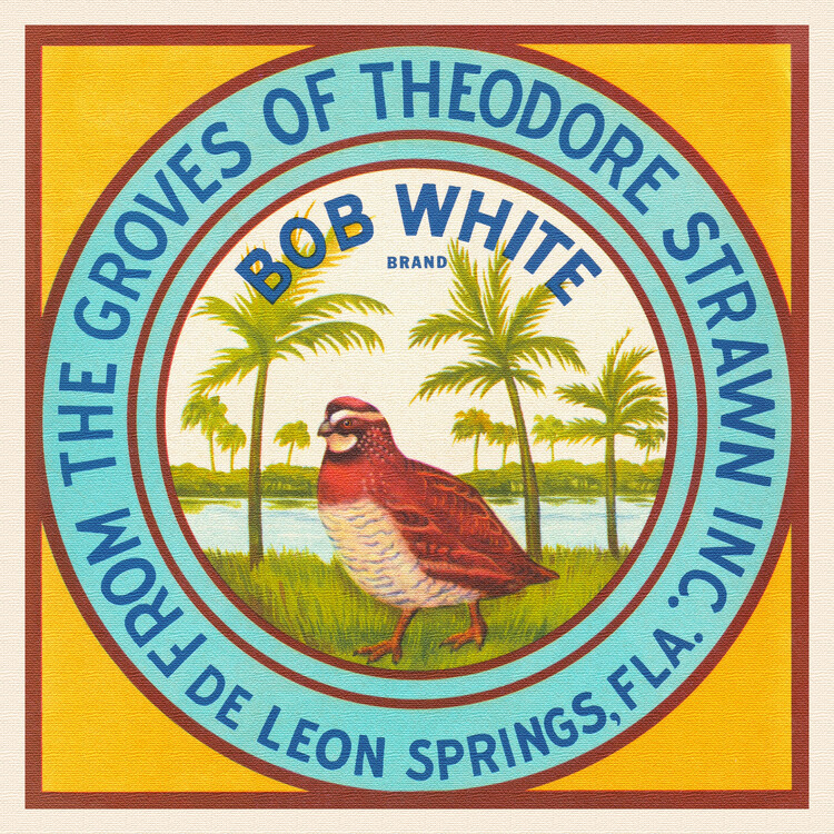 Plakat Bob White Brand (Colourful Retro Graphic / Vintage Fruit & Fresh Produce Advertisement) - Florida Crate Labels