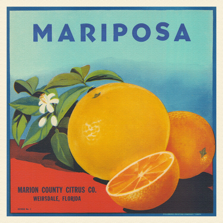 Poster Mariposa Brand Citrus