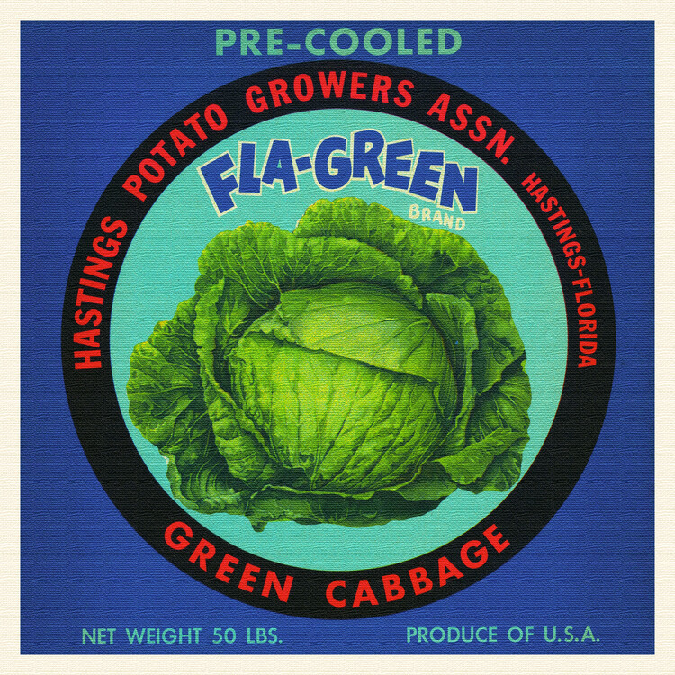Poster Fla-Green Brand Green Cabbage (Colourful Retro Graphic / Vintage Fruit & Fresh Produce Advertisement) - Florida Crate Labels