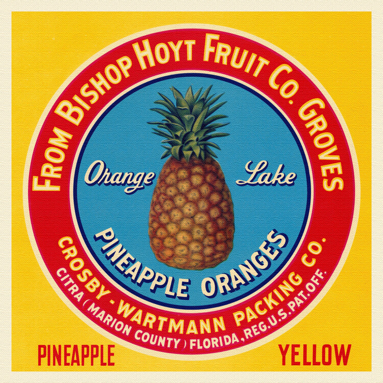 Poster Orange Lake Pineapples & Oranges Brand in Yellow