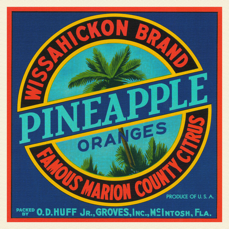 Póster Wissahickon Brand Pineapples & Oranges