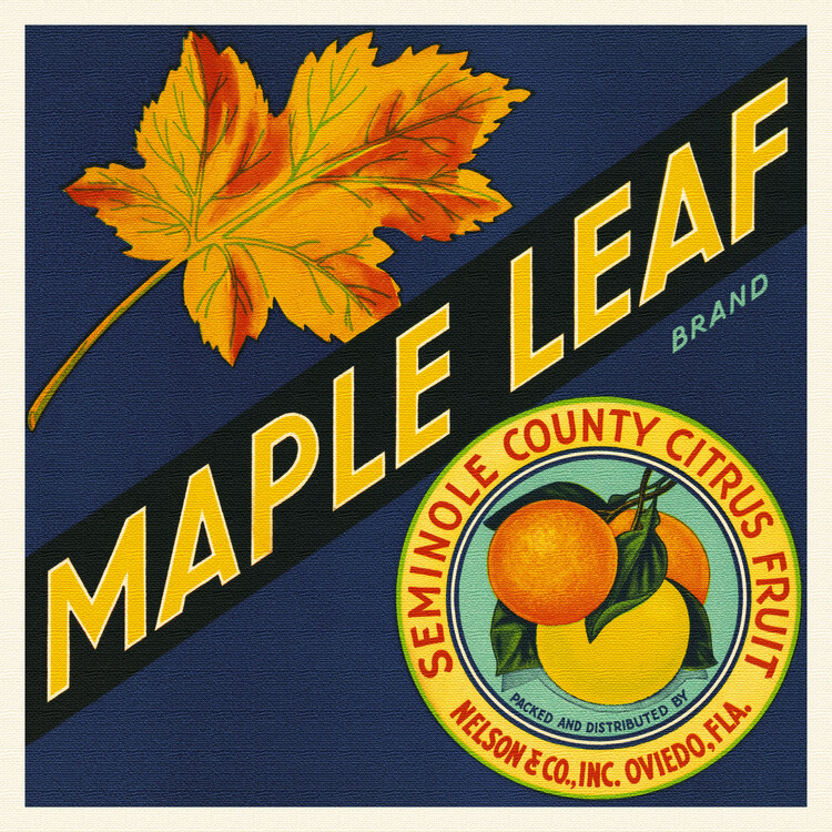 Poster Maple Leaf Citrus Brand (Colourful Retro Graphic / Vintage Fruit & Fresh Produce Advertisement) - Florida Crate Labels