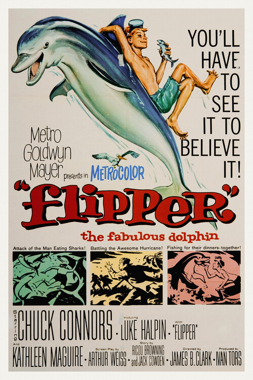 Poster Flipper, The Fabulous Dolphin