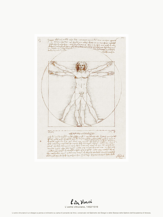 Poster Vitruvian Man