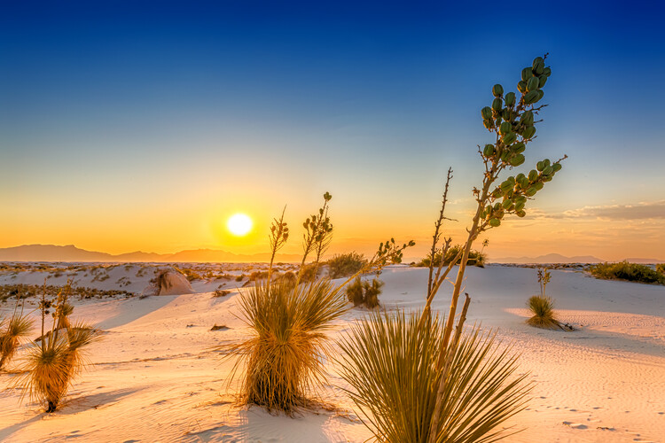 Plakat White Sands Sunset New Mexico