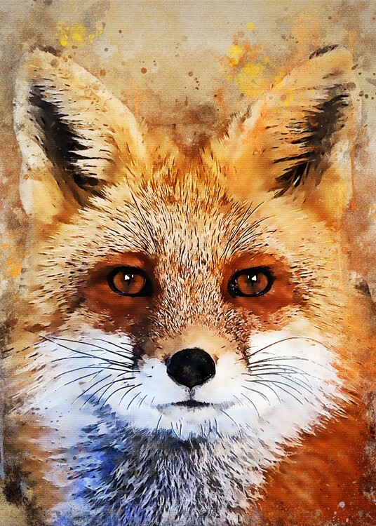 Poster Cute Fox