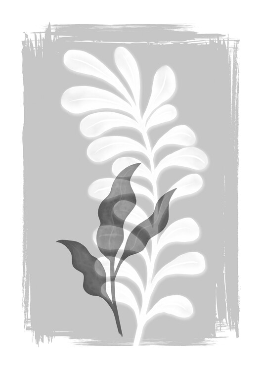 Póster Plant Shadows