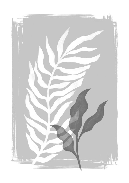 Poster Shadow Plants